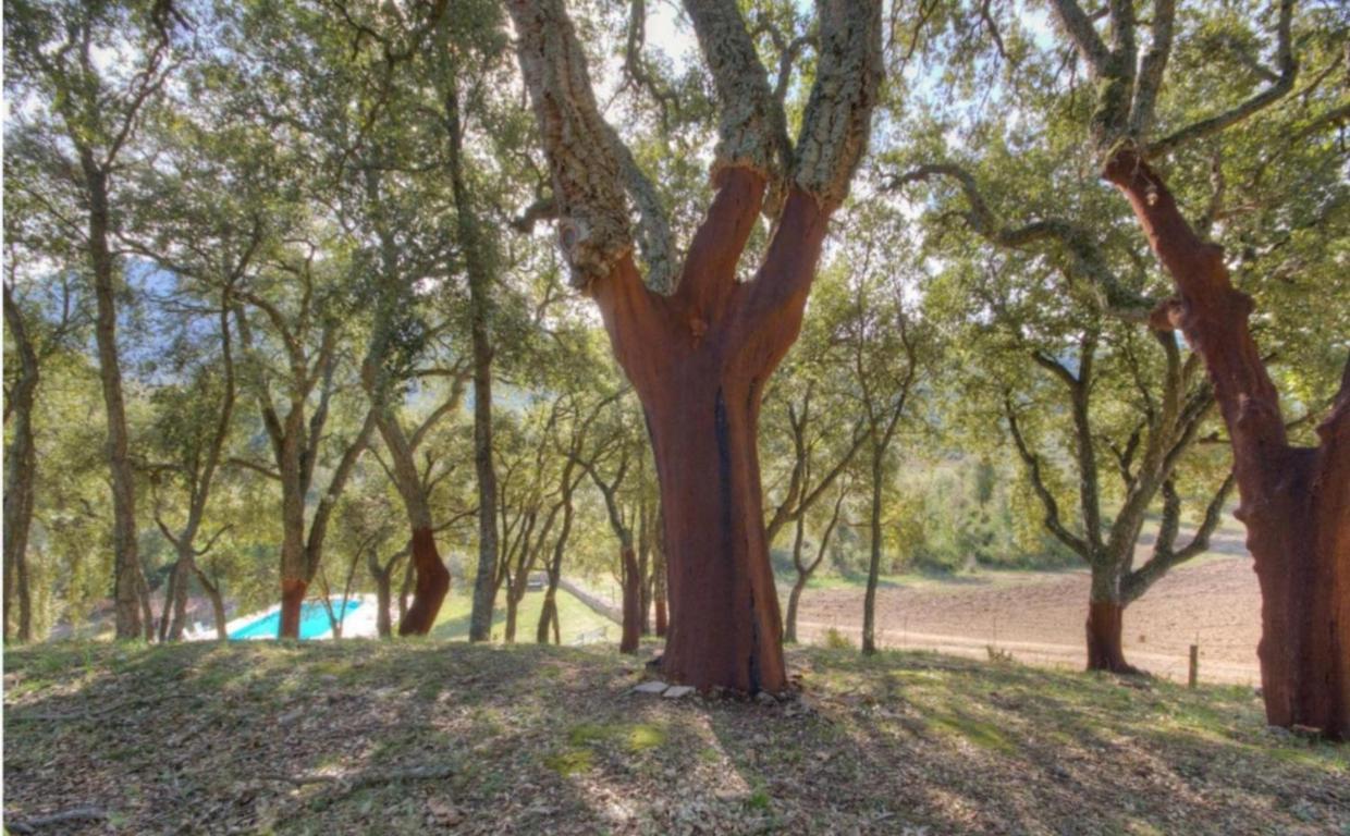 Gites Carbuccia En Corse Avec Piscine Chauffee Zewnętrze zdjęcie