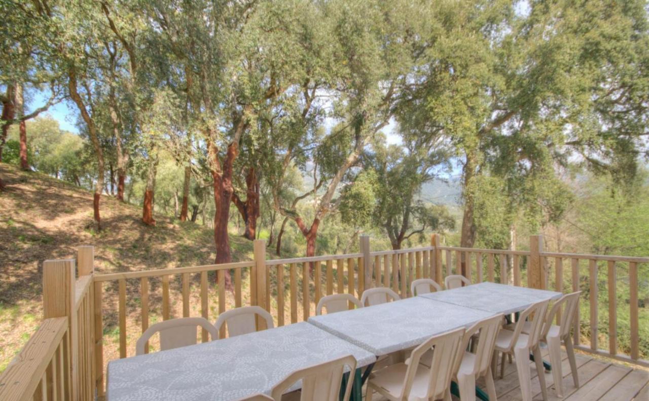 Gites Carbuccia En Corse Avec Piscine Chauffee Zewnętrze zdjęcie