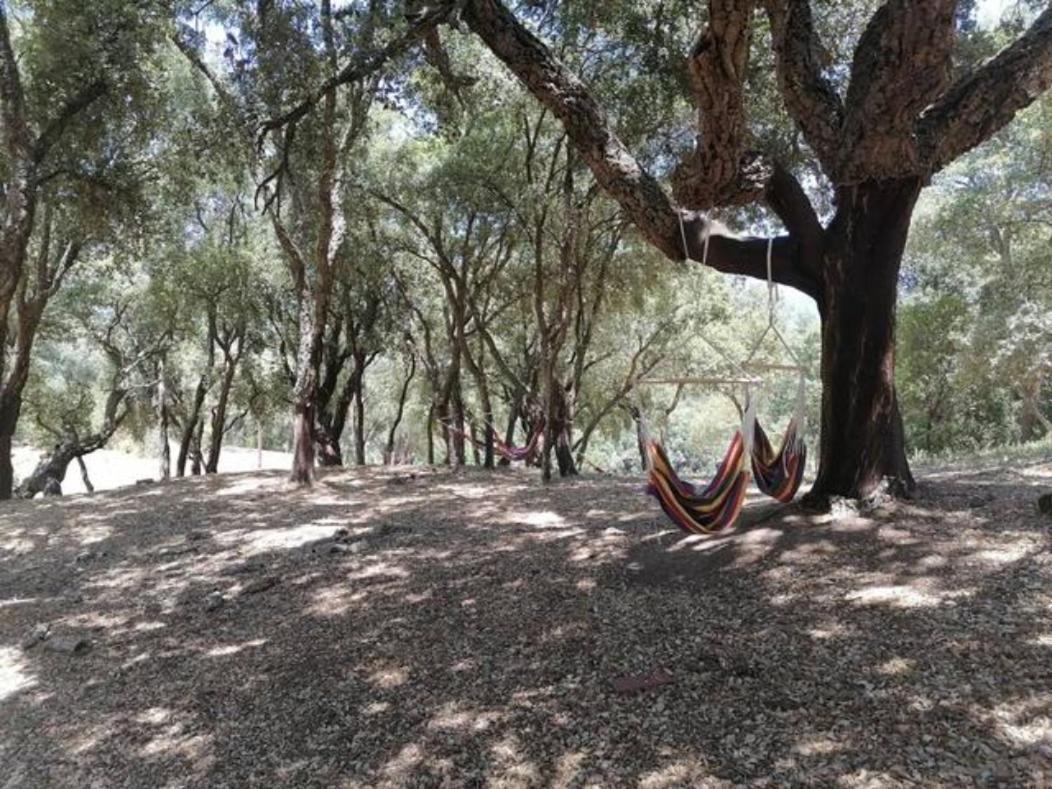 Gites Carbuccia En Corse Avec Piscine Chauffee Zewnętrze zdjęcie
