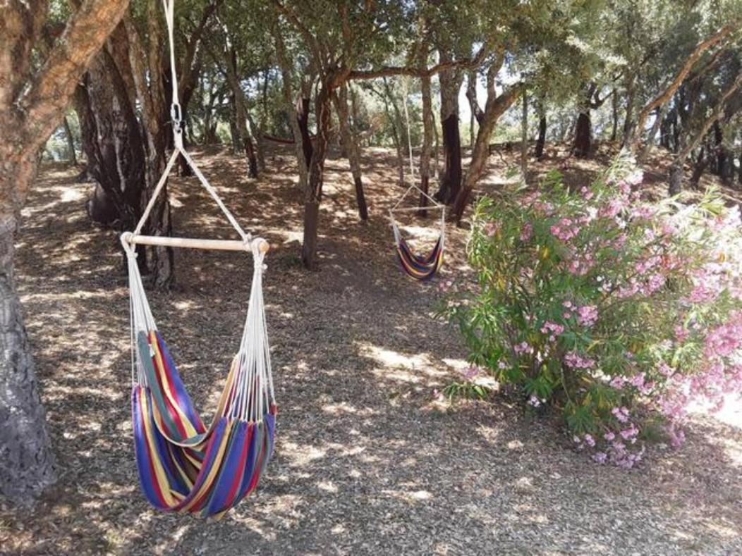 Gites Carbuccia En Corse Avec Piscine Chauffee Zewnętrze zdjęcie